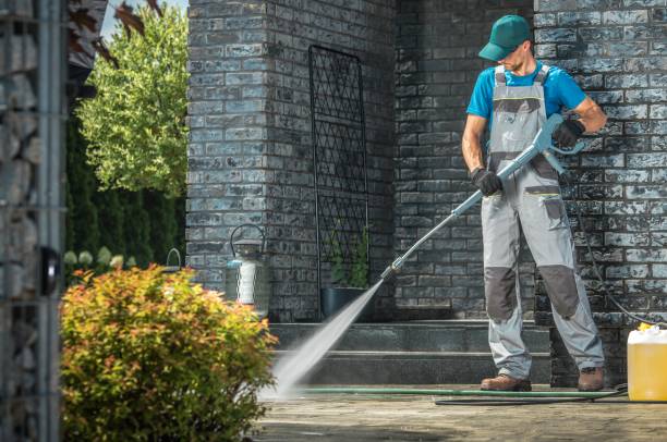 Best Sidewalk and Walkway Cleaning  in Homestead Meadows South, TX