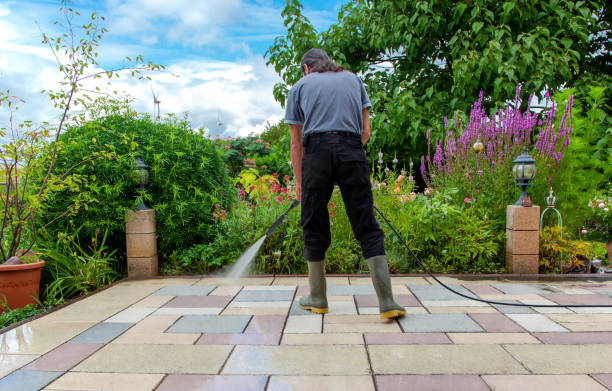 Best Driveway Pressure Washing  in Homestead Meadows South, TX