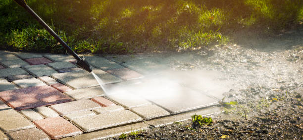 Best Building Exterior Washing  in Homestead Meadows South, TX